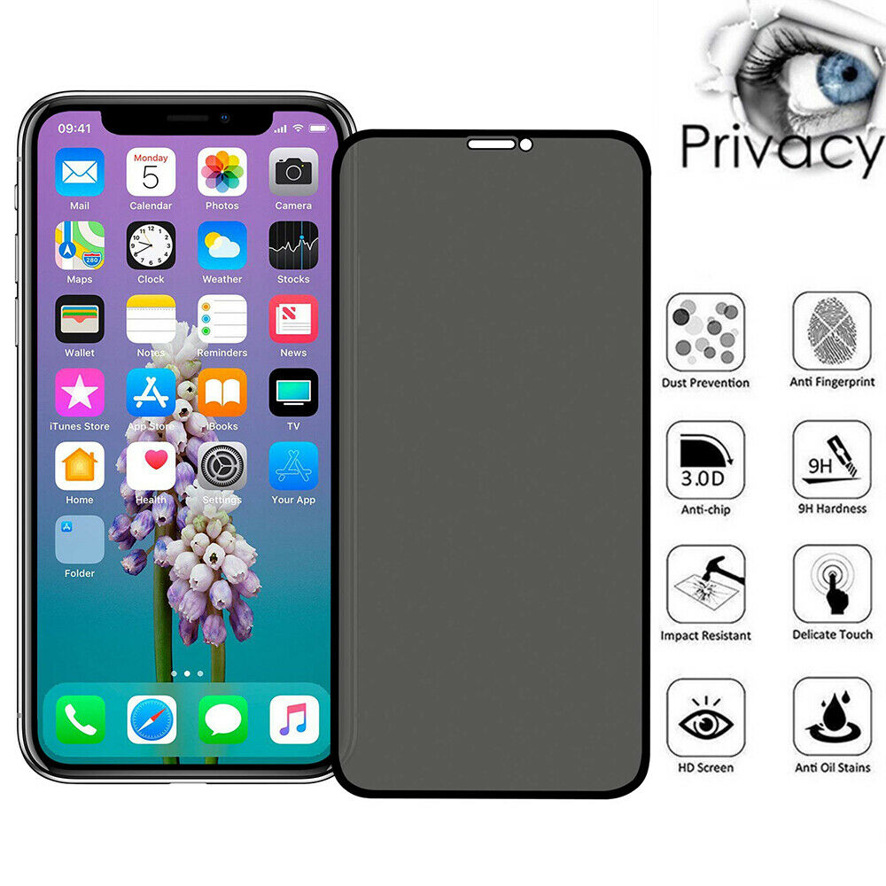 PRIVACY 5D BLACK GLASS - IPHONE XR/11